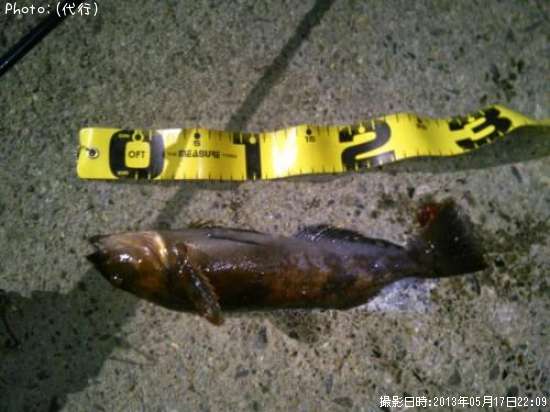 �����ʥ�