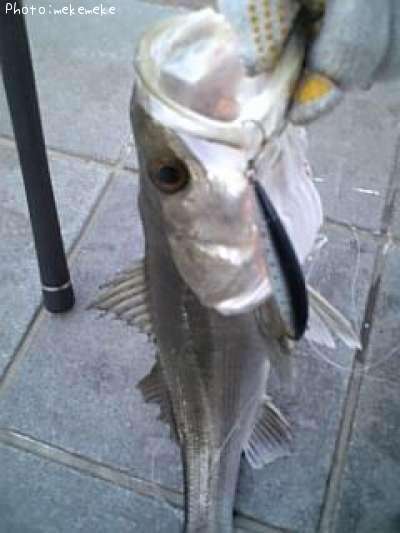 �����Х�