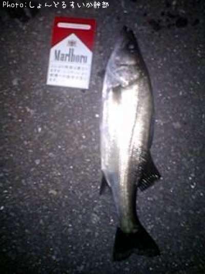 �����Х�