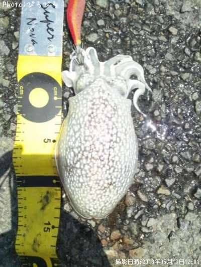 ����䥱����