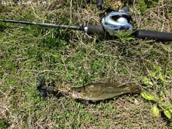 �֥�å��Х�