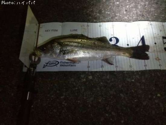 �����Х�