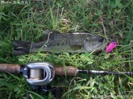 �顼���ޥ����Х�