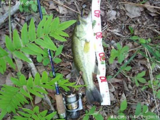 �顼���ޥ����Х�