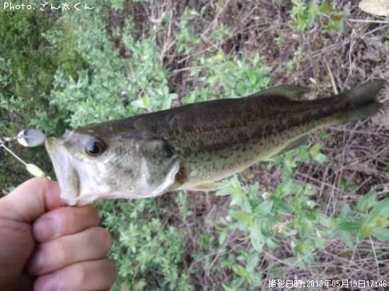 �֥�å��Х�