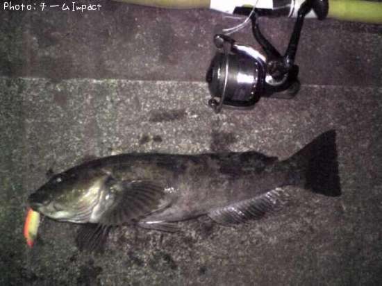 �����ʥ�