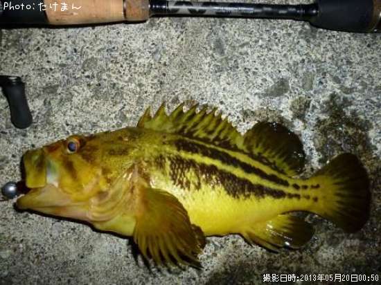 ���ޥ���