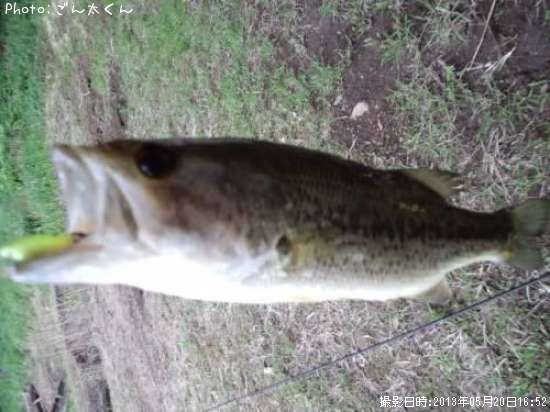 �֥�å��Х�