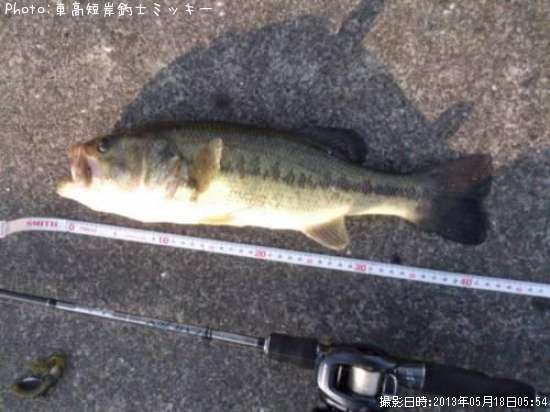 �֥�å��Х�