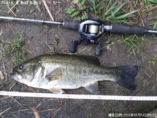 �֥�å��Х�