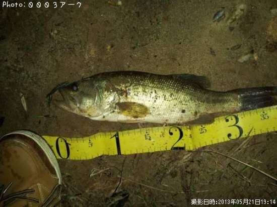 �֥�å��Х�