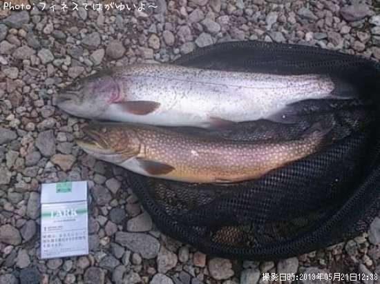 �������롩