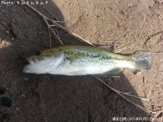 �֥�å��Х�