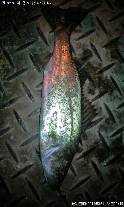 �����Х�