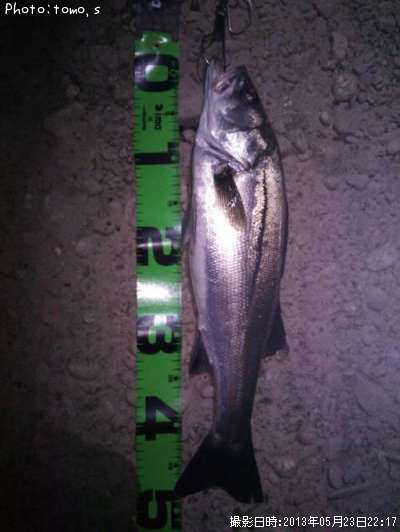 �����Х��ʥեå���