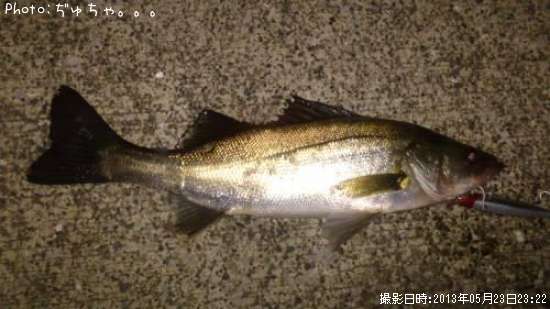 �����Х�