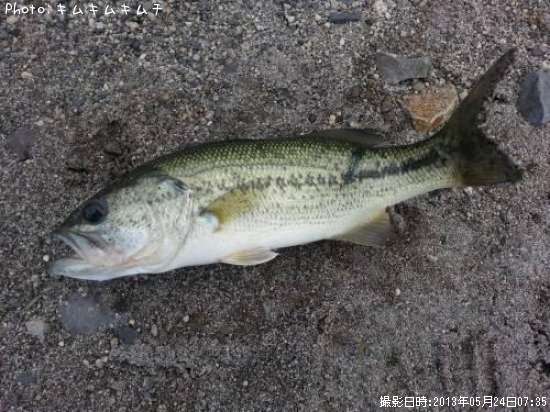 �֥�å��Х�