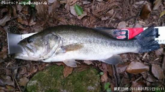 �֥�å��Х�