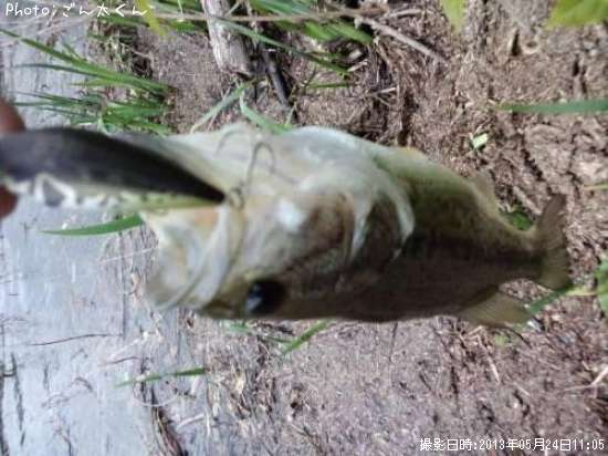 �֥�å��Х�