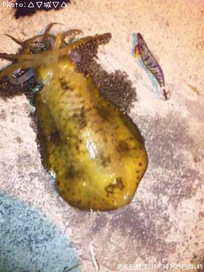 �����ꥤ��