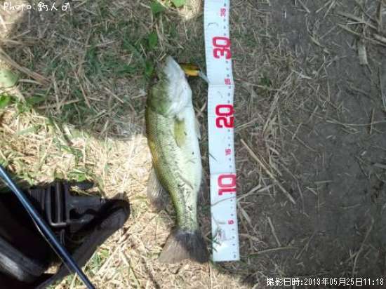 �顼���ޥ����Х�