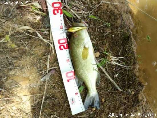 �顼���ޥ����Х�