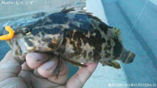 �����Υ���Х�