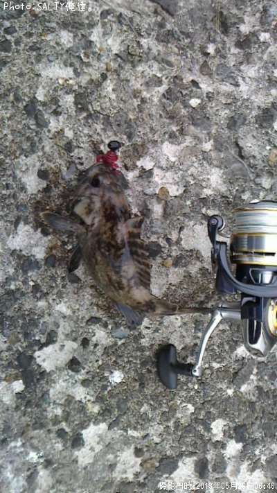 ��������