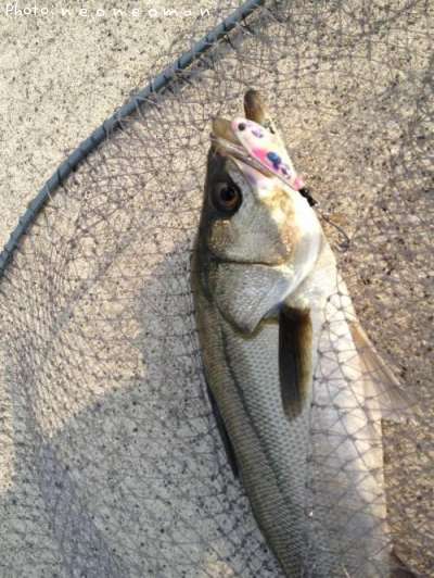 �����Х�