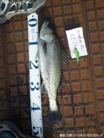 �����Х�