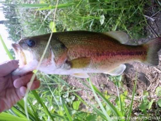 �֥�å��Х�