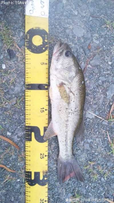 �֥�å��Х�