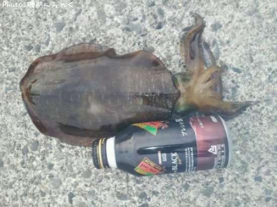 �����ꥤ��