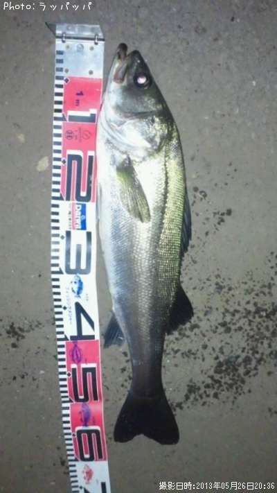 �����Х�