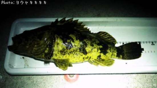 �����Υ���Х�