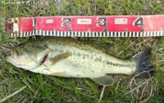 �֥�å��Х�