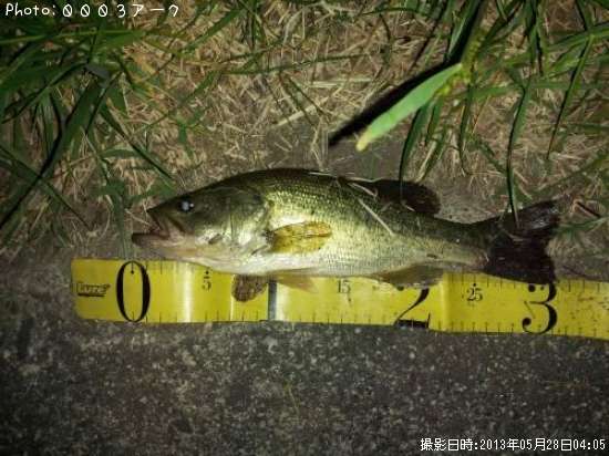 �֥�å��Х�