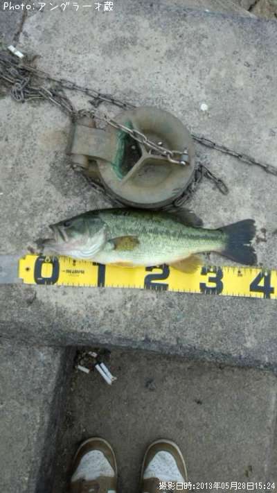 �֥�å��Х�