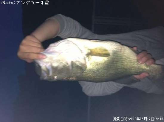 �֥�å��Х�