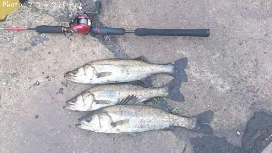 �����Х�