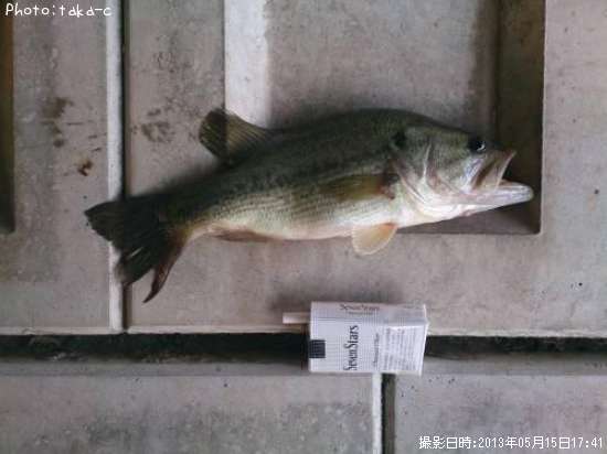 �֥�å��Х�