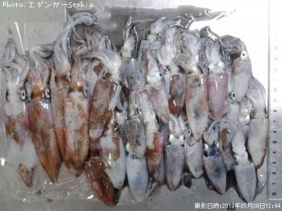 �ҥ�����������ꥤ��