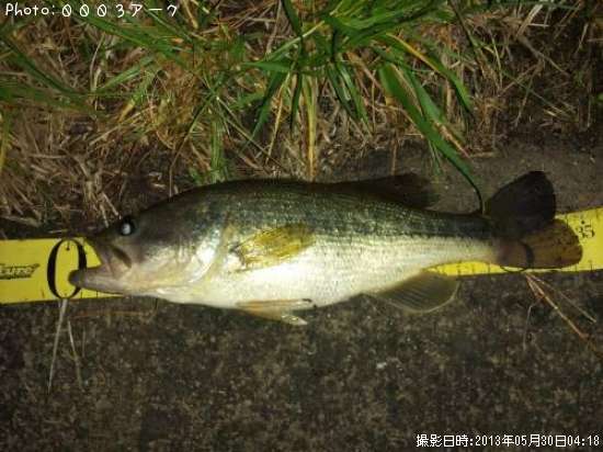 �֥�å��Х�