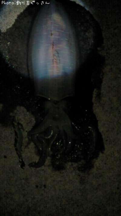 �����ꥤ��