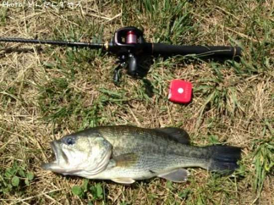 �֥�å��Х�