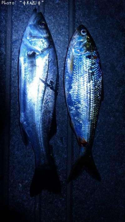 �����Х�