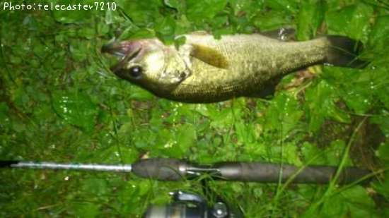 �֥�å��Х�