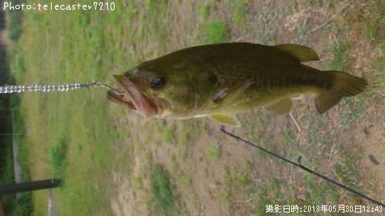 �֥�å��Х�