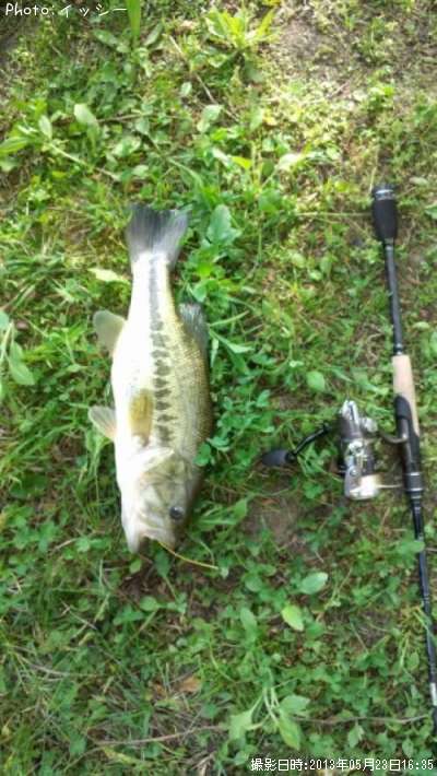 �֥�å��Х�