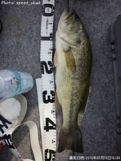 �֥�å��Х�